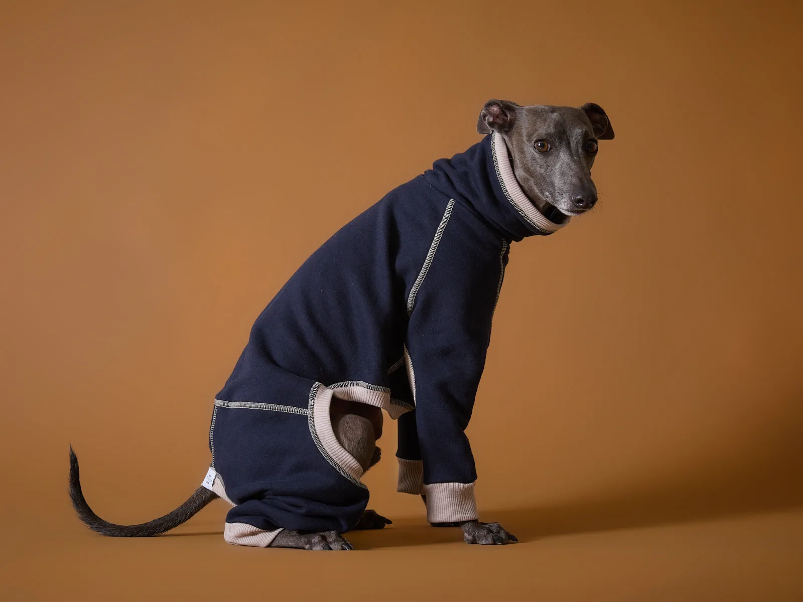 Italian Greyhound / Whippet Blue Turtleneck Jumpsuit ORLY