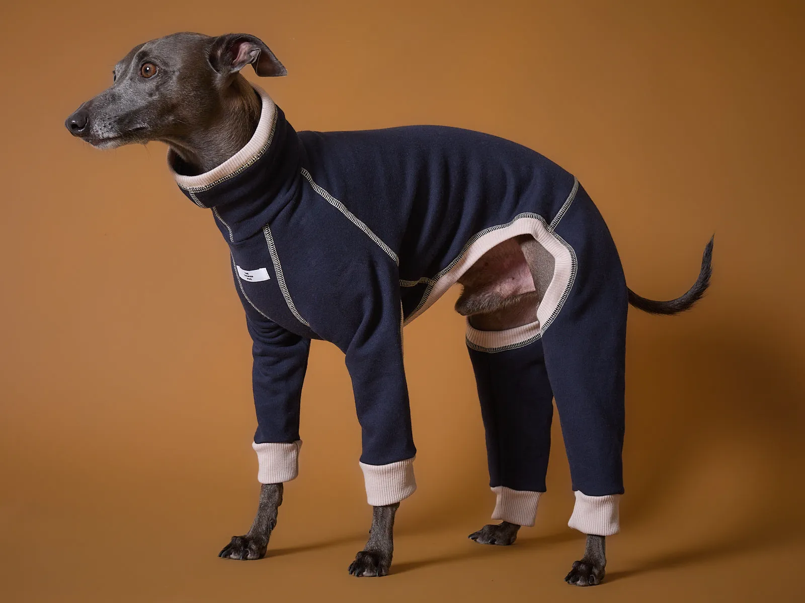 Italian Greyhound / Whippet Blue Turtleneck Jumpsuit ORLY