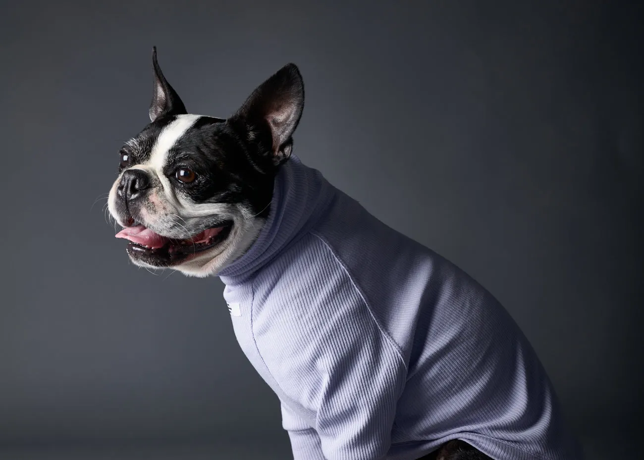 Lilac Ribbed Turtleneck Sweater BEVERLY