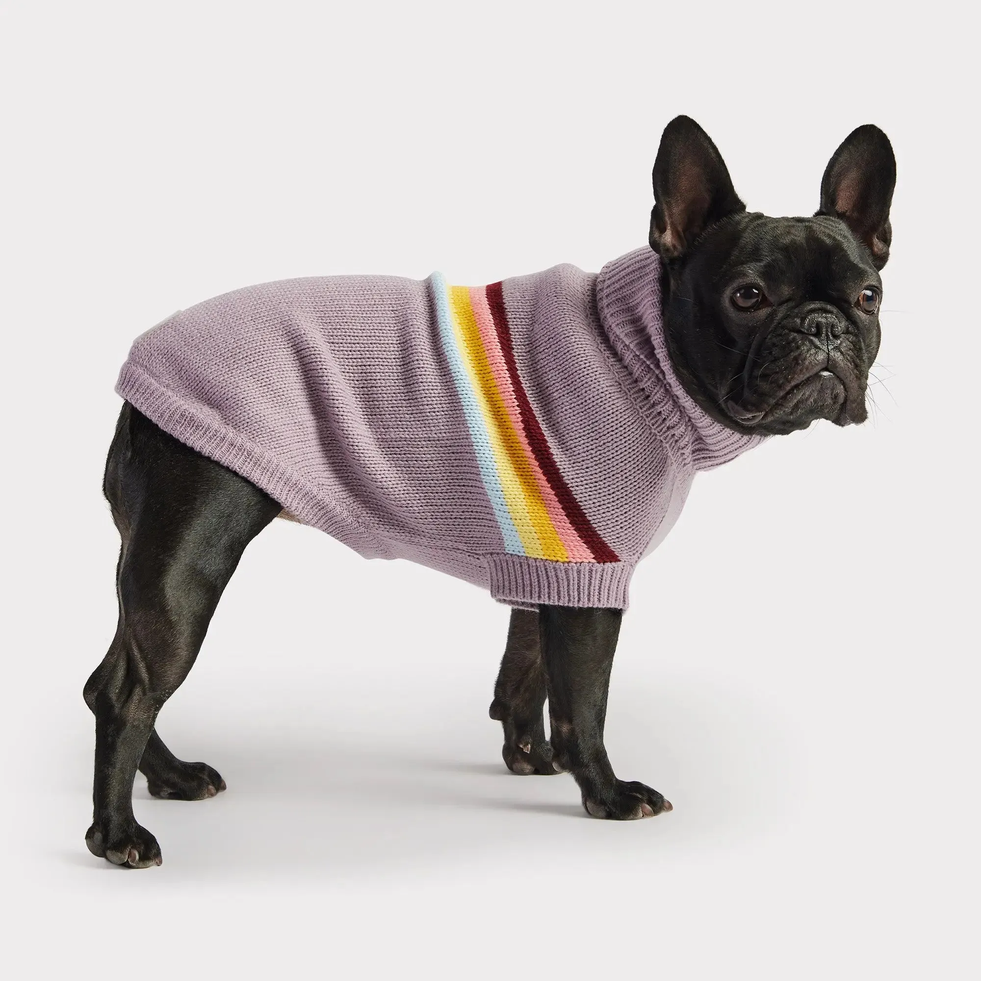 Retro Dog Sweater | Lavender