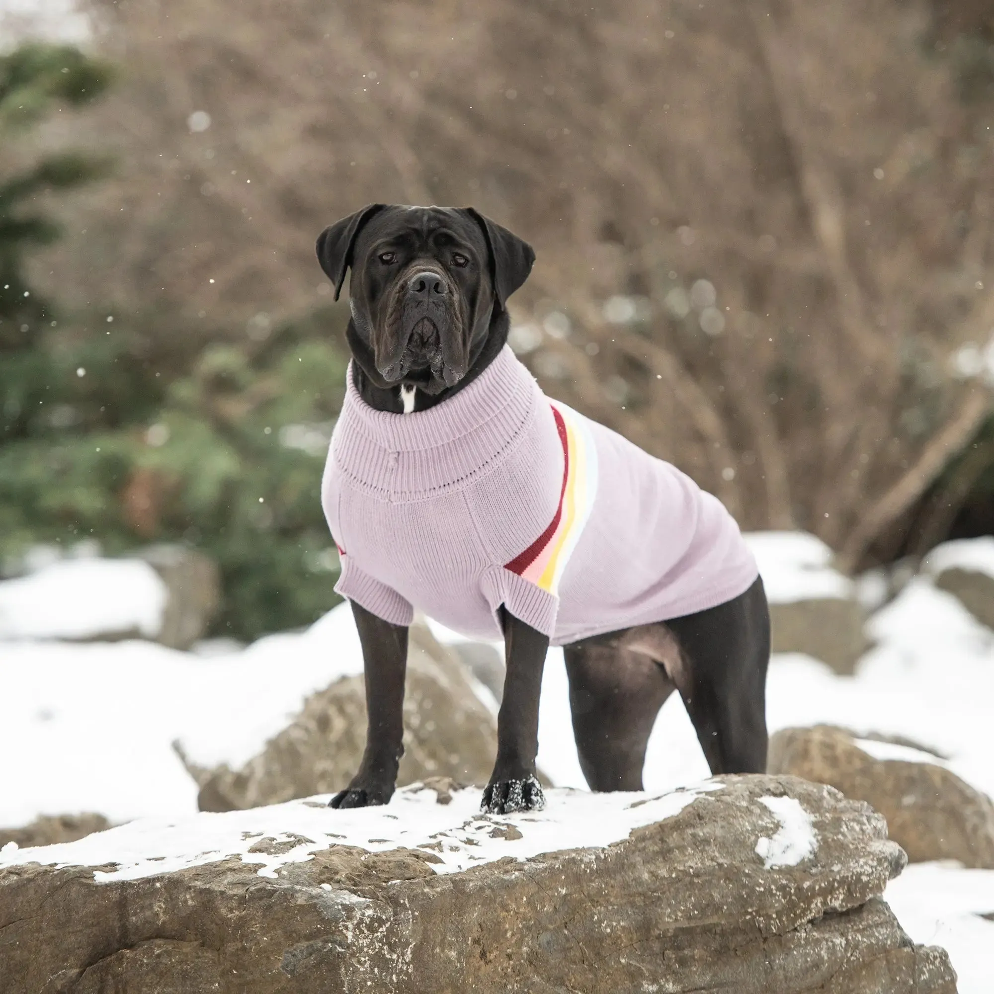 Retro Dog Sweater | Lavender