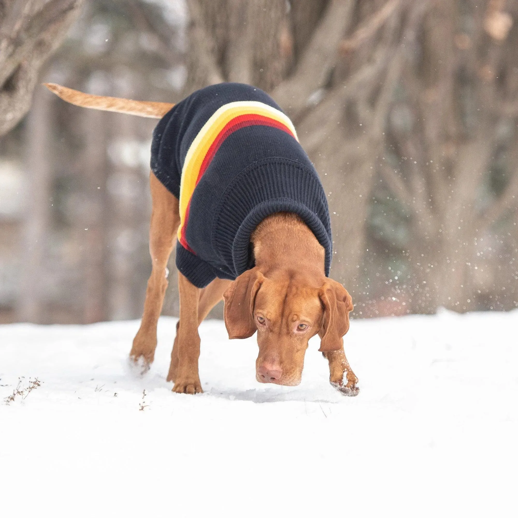 Retro Dog Sweater - Navy