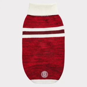 Trekking Dog Sweater | Red