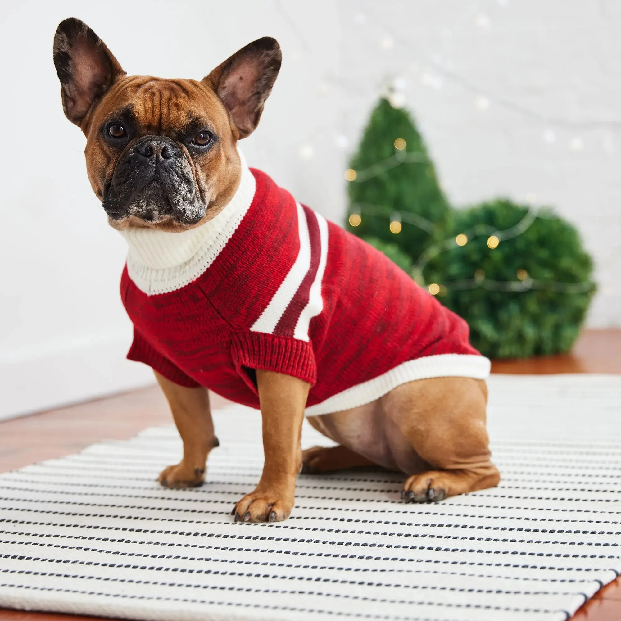 Trekking Dog Sweater | Red