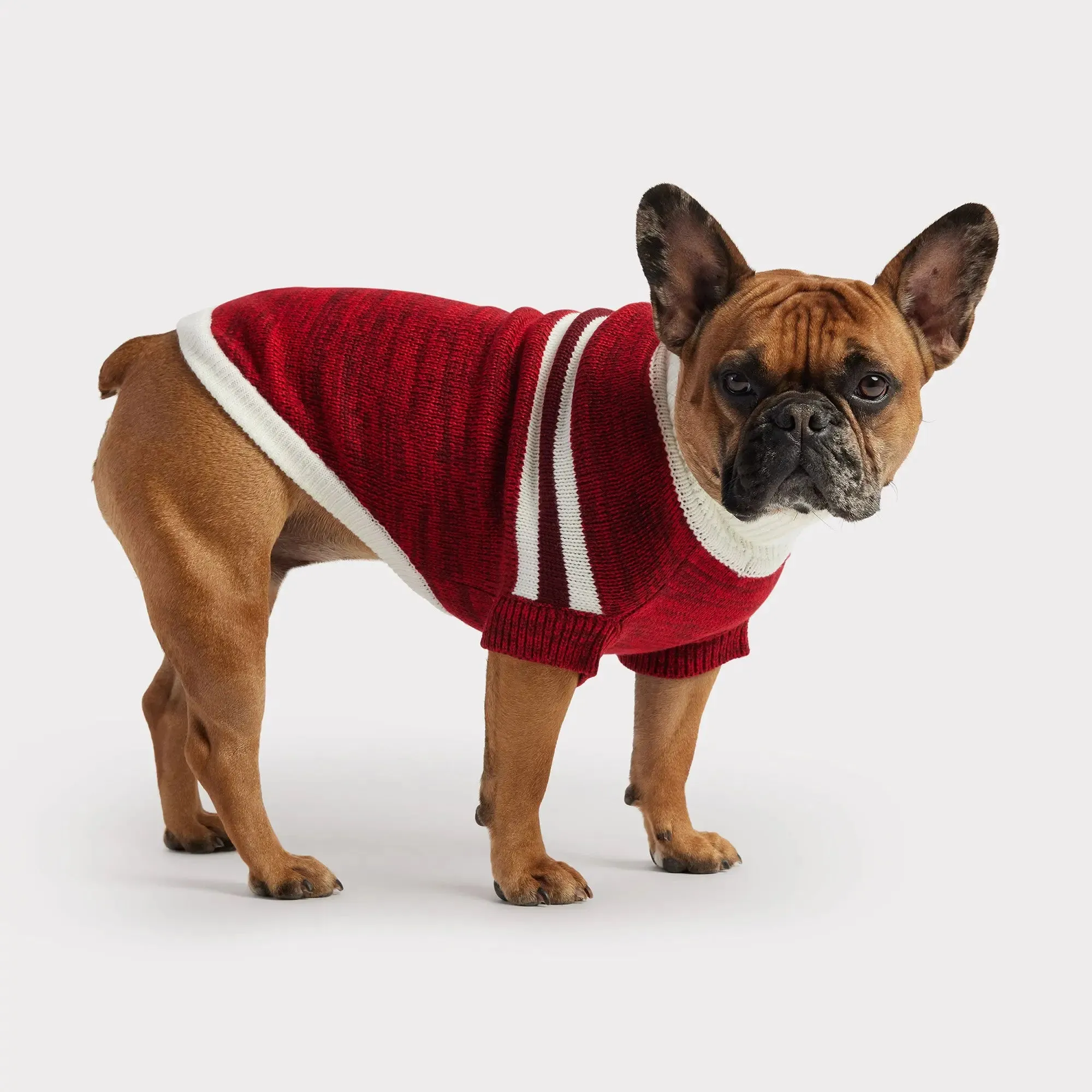 Trekking Dog Sweater | Red